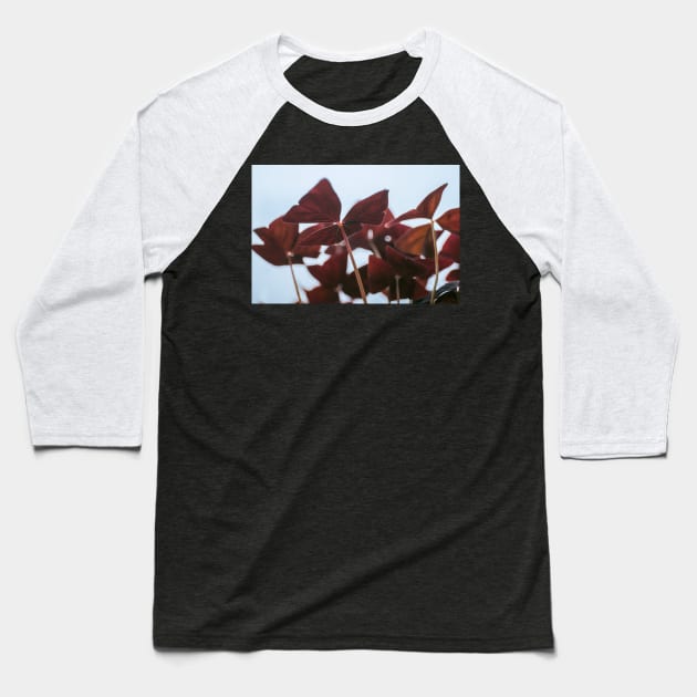 Oxalis Baseball T-Shirt by bunlinked